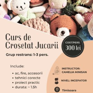 Atelier de Croșetat Jucării - Începători (Grup:1-3pers.)